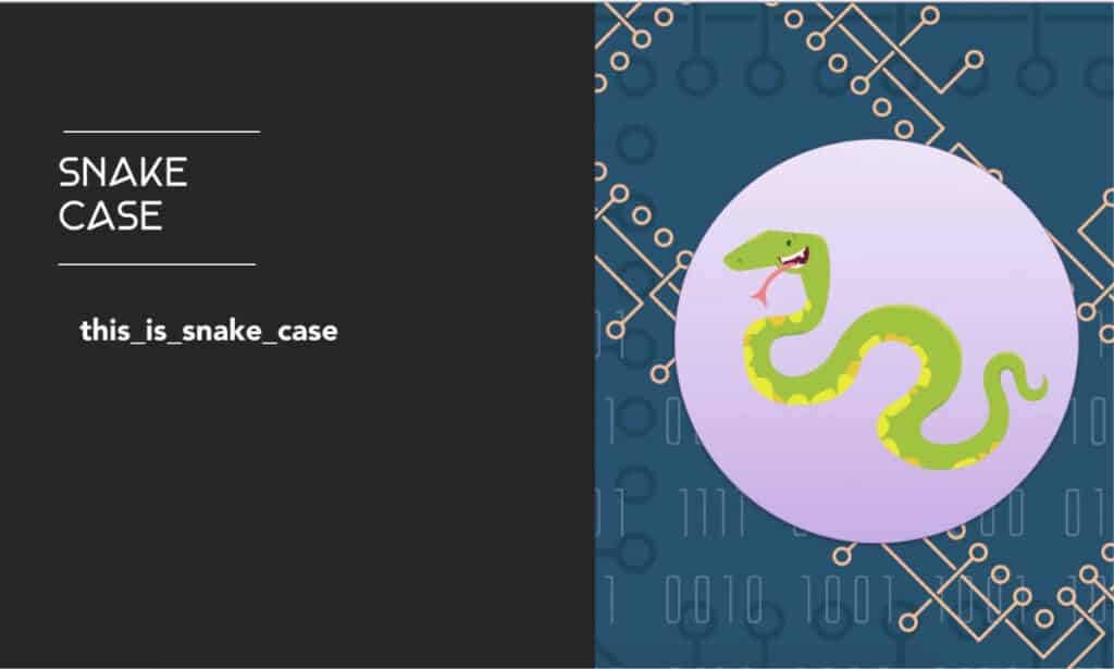 snake case